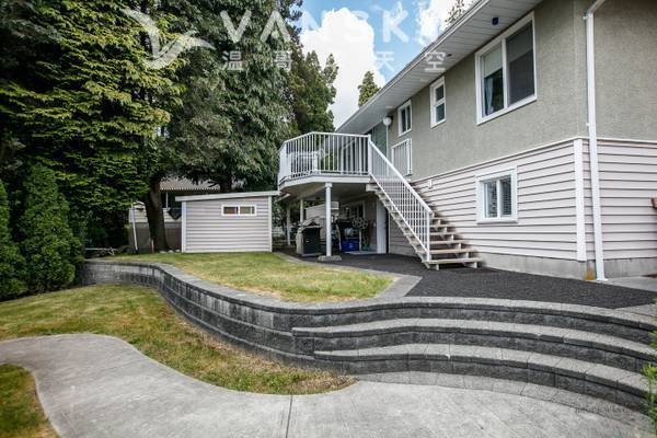 250729093114_back yard.jpg